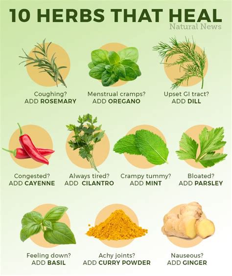 10 Herbs That Heal With Images Skin Care Wrinkles Anti Aging Skin