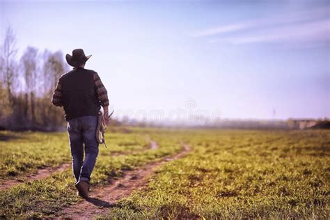 Cowboy Standing In A Field At Sunset Stock Photo Image Of Person