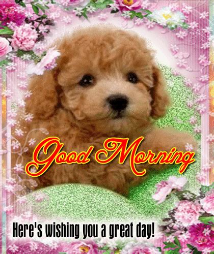 My Great Day Ecard Free Good Morning Ecards Greeting Cards 123