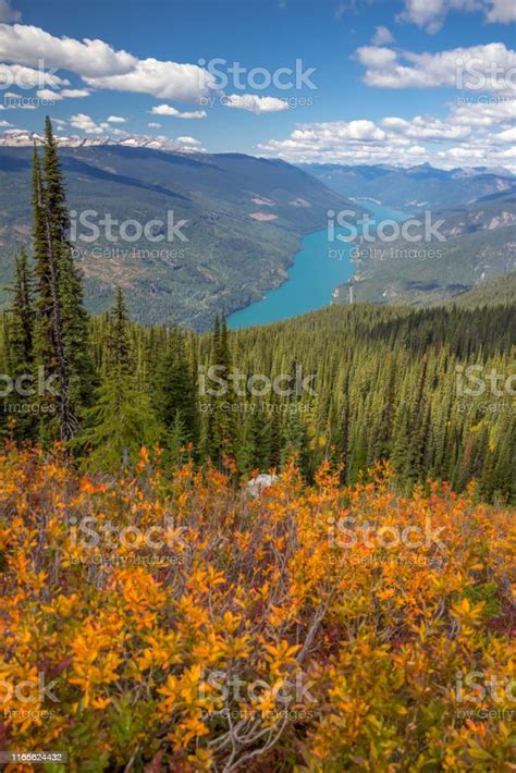 Autumn In Mount Revelstoke National Park Canada Eagle Knoll Trail Stock