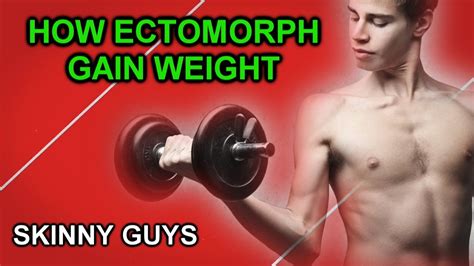 How An Ectomorph Can Gain Weighthow Ectomorphs Gain Musclehow To