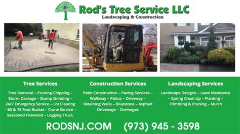 Check spelling or type a new query. Tree Service Flanders NJ - YouTube
