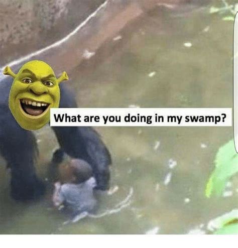 25 Best Memes About What Are You Doing In My Swamp What Are You
