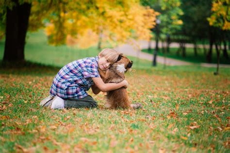 Boy Hugging Dog And Plyaing With In The Fall City Park Stock Image