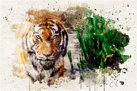 Bengal Tiger Watercolor Design Digital Art By Carlos V Fine Art America