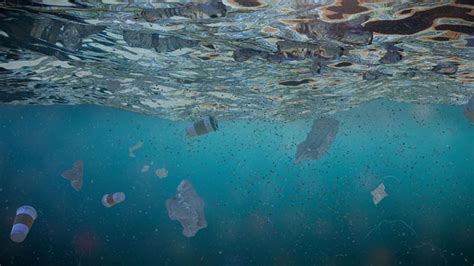 Microplastic Pollution In Atlantic Ocean Exceeds Earlier Findings