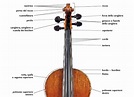Violino | IL VIOLINISTA - Violinista s, ma di lavoro?