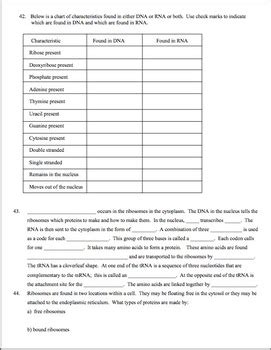 All books are in clear copy here, and all files are. DNA, RNA, Protein Synthesis Worksheet / Study Guide by Amy Brown Science