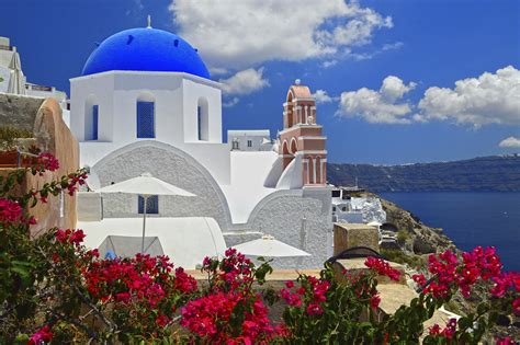 Santorini Greece Flowers Frederico Domondon