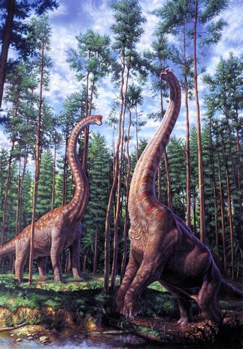 Triassic ∆ Jurassic ∆ Cretaceous Dinosauri Fossili Animali