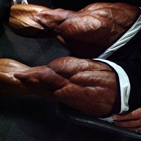 Pin By Muscle Fan In Philly On Quads And Calves In 2020 Fitness