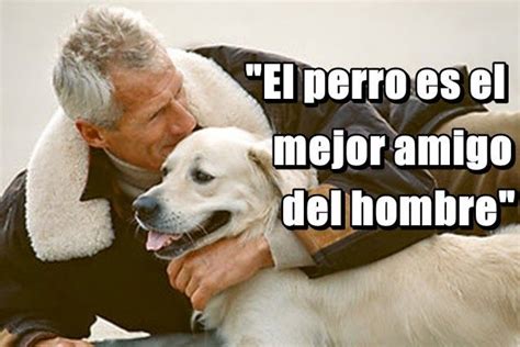 Historia De La Frase El Perro Es El Mejor Amigo Del Hombre Mejor