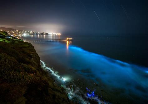 La Jolla Beach Goers Be On The Lookout For Colorful Bioluminescence In