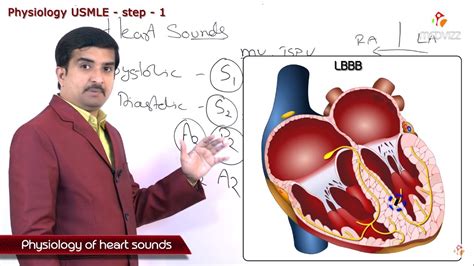 Subscribed to your list unsubscribed for your list you can subscribe up to 500 webtoon originals. Physiology of Heart sounds made simple - USMLE step 1 ...