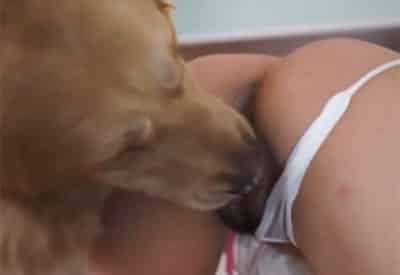 Mujer Fornicando Con Un Perro