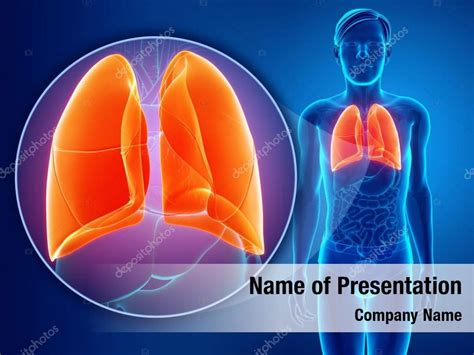 Lungs In The Human Powerpoint Template Lungs In The Human Powerpoint