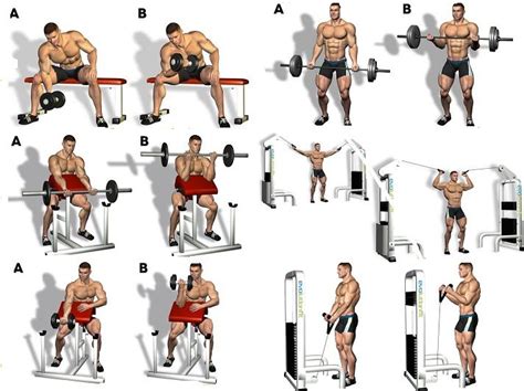 Well, in this article we'll figure out just that by using current scientific evidence to determine exactly how many sets per workout you should be doing to maximize growth. Bicep Workout Program | Best bicep workout, Gym workout ...