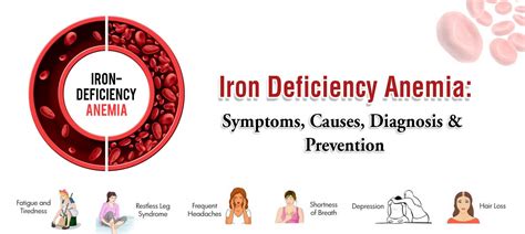 Iron Deficiency Anemia Symptoms And Solutions Infogra