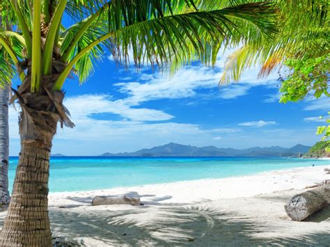 Tropical Sand Beach Palm Trees Ocean Blue Sky With White