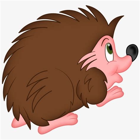 Cartoon Hedgehog Cartoon Clipart Hedgehog Clipart Animal Png Image
