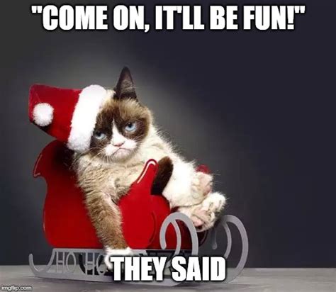 Image Tagged In Christmas Grumpy Cat Imgflip