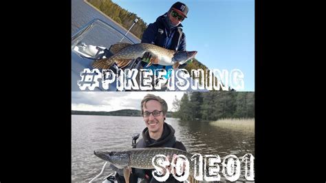 Mammajahtia Pike Fishing Finland S01e01 Youtube