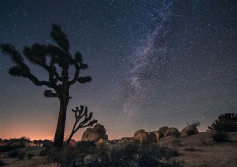Skyglow Captures Joshua Trees Night Sky Without Light Pollution