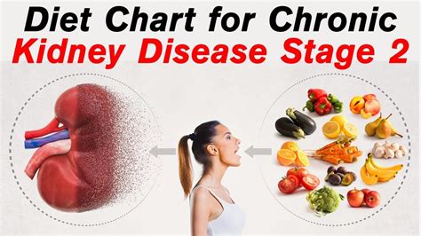 Diet For Chronic Kidney Disease Patients Ckd Stage 2 Diet Plan Youtube
