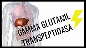 QUE ES LA GAMMA GLUTAMIL TRANSPEPTIDASA (GGT) - YouTube