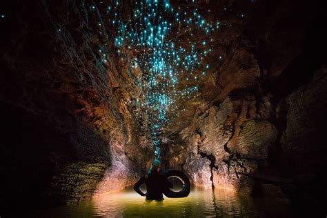 I can honestly say that i have never had another experience even come close to what this tour was like. Glowworms Make Natural Light Installations In New Zealand ...