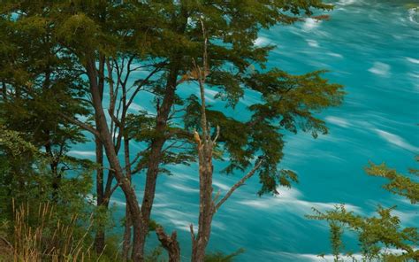 1400x875 Landscape Nature Turquoise River Chile Trees Water Summer