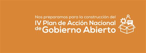 Apoyo A La Co Creación Del Iv Plan De Acción Nacional De Gobierno
