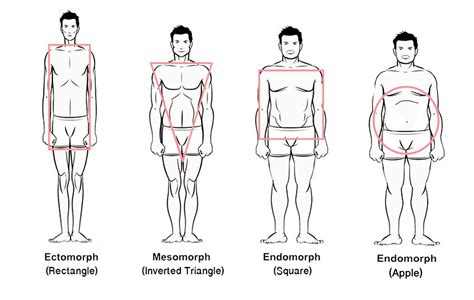 Body Mens Types And What To Wear Images