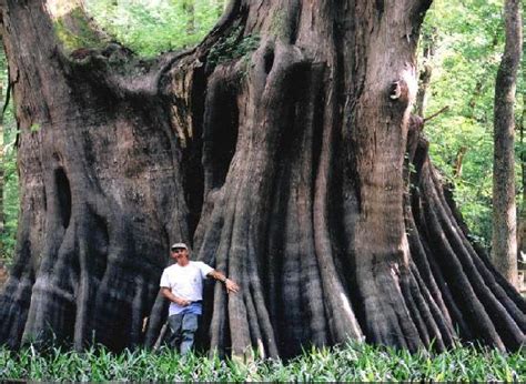 11 Incredible Places In Louisiana That Will Bring Out The Explorer In