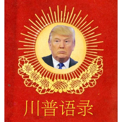 Trump And Chinese Netizens Carnival Ceias