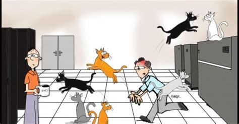 Friday Funny Herding Cats On The Raised Floor Data Center Knowledge