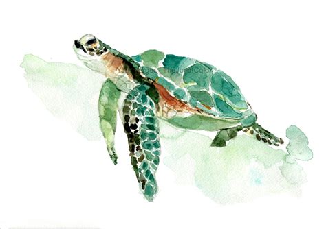 Sea Turtle Watercolor Print Sea Turtle Painting Sea Life Etsy