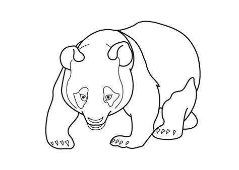 Looking for panda coloring pages? Panda bear coloring pages to download and print for free
