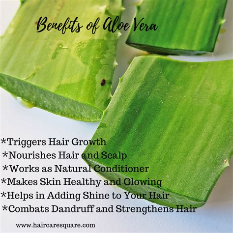 Benefits Of Aloe Vera Juice Or Gel For Hair And How To Use It In 5 Ways