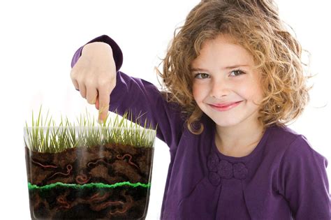 Worm Farm Kits For Kids To Observe The Amazing World Of Worms Close Up