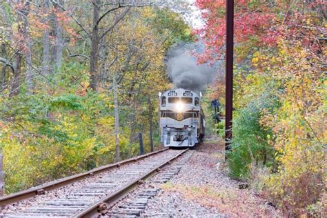 A Train Traveling Through A Forest Filled With Trees