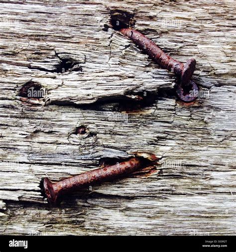 Rusty Nails In Wood Texture Close Up Stock Photo Alamy