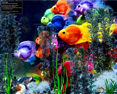 Microsoft Fish Screensaver Wallpaper Free Best Hd Wallpapers