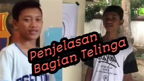 Sedangkan makanan mikro, meliputi makanan yang mengandung vitamin, mineral, dan air. Bagian telinga manusia dan fungsinya kelas 8 #Reza dan ...