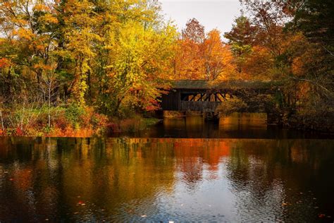 Free Images Landscape Water Nature Grass Creek Sky Farm Flower