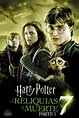Ver Harry Potter y las reliquias de la muerte - Parte 1 (2010) Online ...