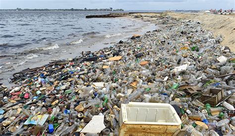 Wie All Das Plastik Ins Meer Gelangt Scienceorfat
