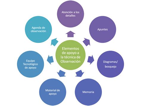 Manual Del Investigador La Observación Mirar Más Allá