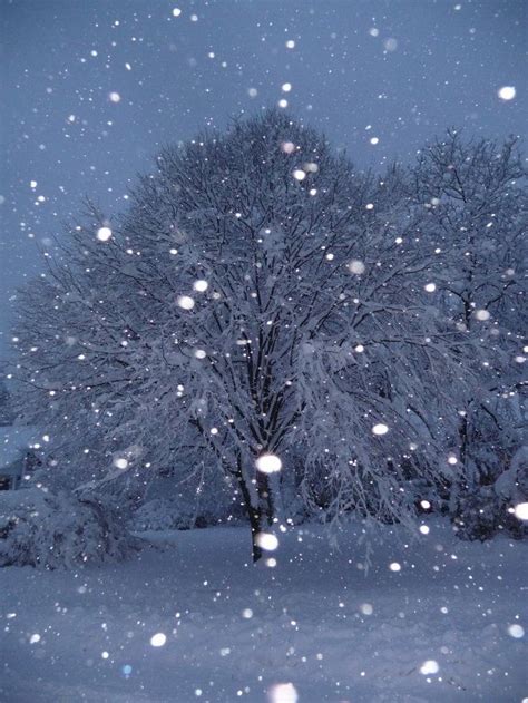 17 Best Images About Snow Scenes On Pinterest Snow