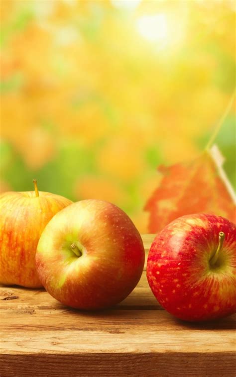 Autumn Apple Wallpapers Top Free Autumn Apple Backgrounds